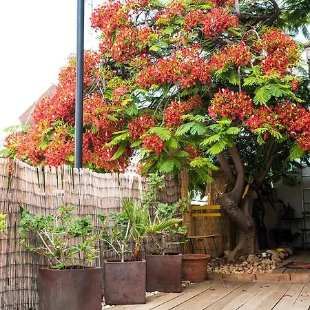 Appartement Casa Alejandro