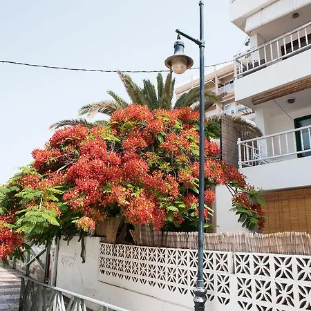 Апартаменты Casa Alejandro *